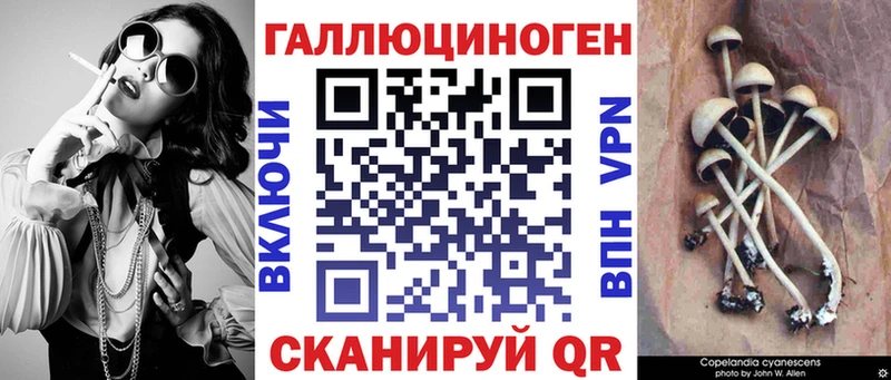 наркотики  Гагарин  Псилоцибиновые грибы Magic Shrooms 